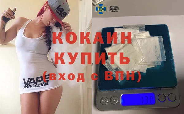 стаф Новокубанск