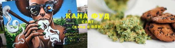 стаф Новокубанск