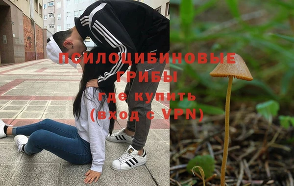 амфетамин Новозыбков
