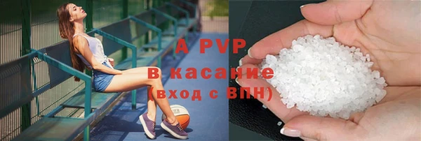 стаф Новокубанск