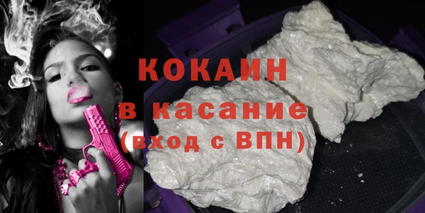 стаф Новокубанск