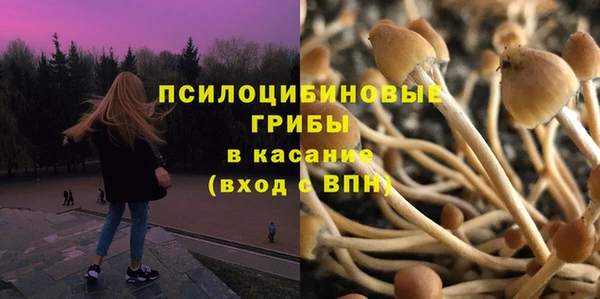 спиды Новодвинск
