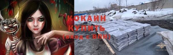 прущие крисы Кирсанов